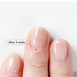 MAYOUR Base Gel