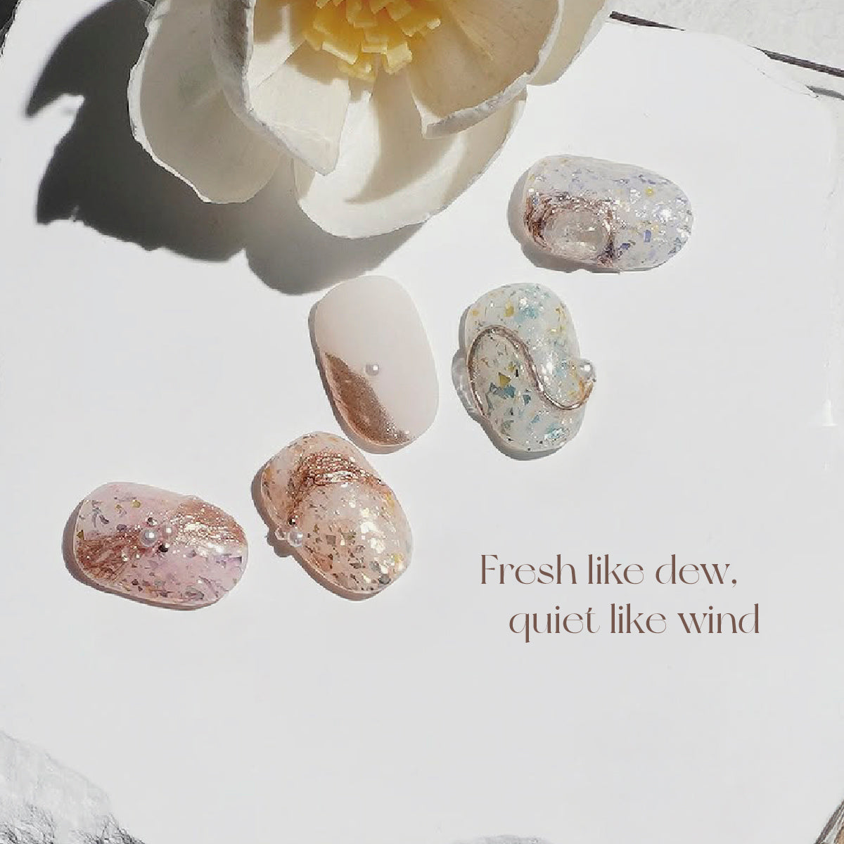 AQ Blossom Collection