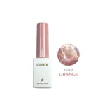 CLODI Pure Delight/ 6 Magnetic Colours