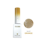 CLODI Love So Much/ 10 Magnetic Colours