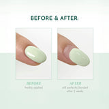 G-Gelly Base Gel Plus