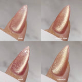 CLODI Like Clodi/ 10 Magnetic Colours