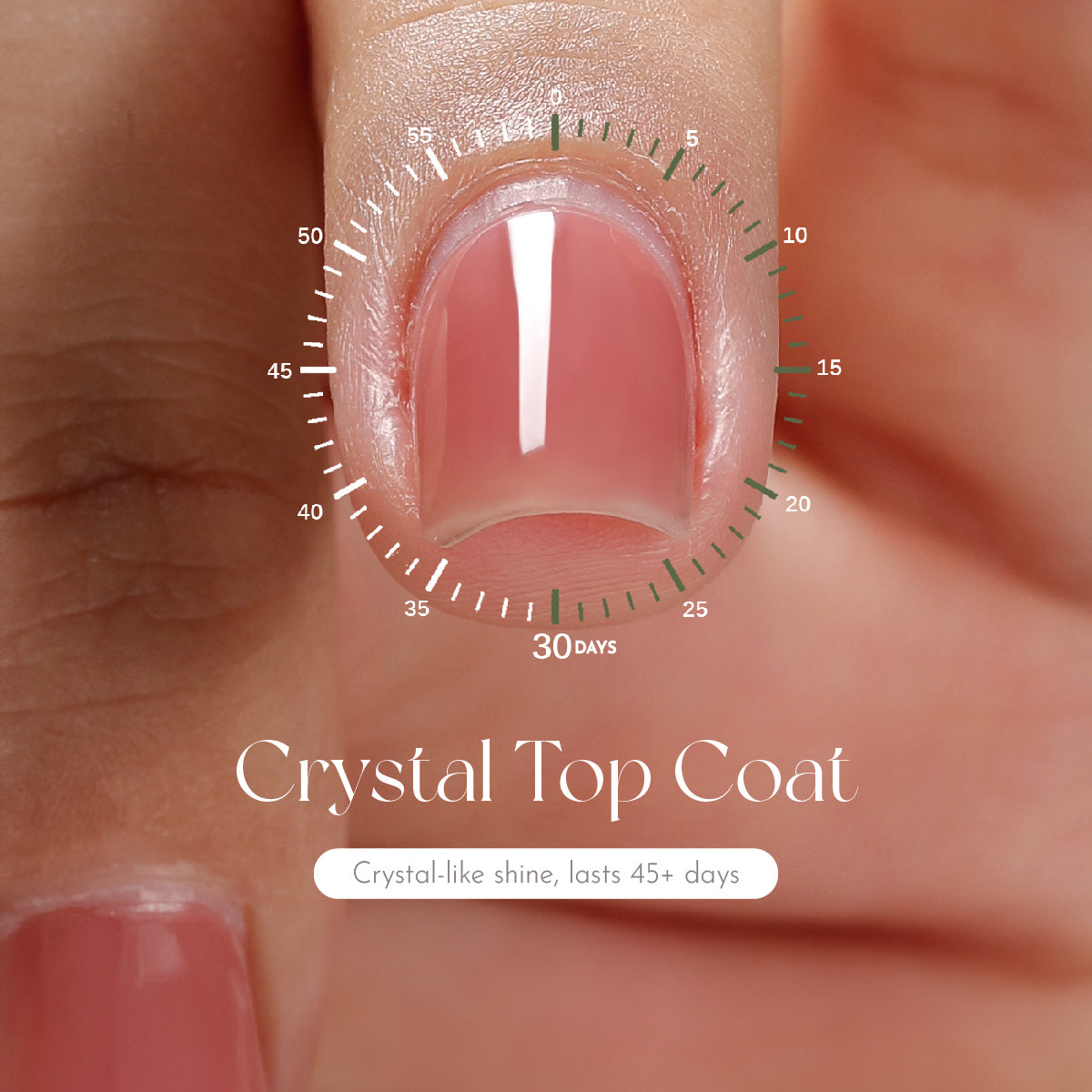 MR NAIL Function Gel Polish Pots / 2.0