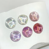 CLODI Pure Delight/ 6 Magnetic Colours