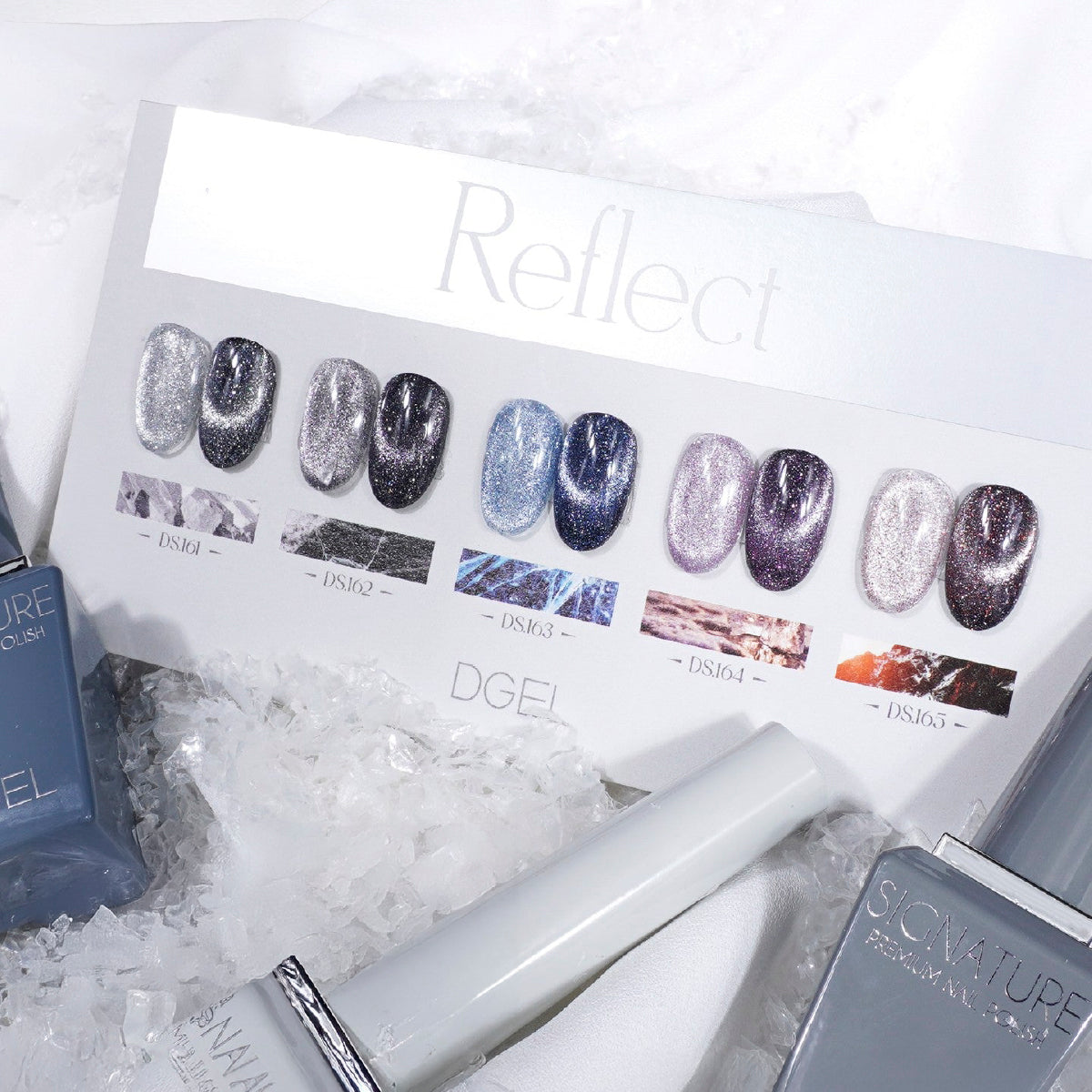 DGEL Signature Reflect Collection