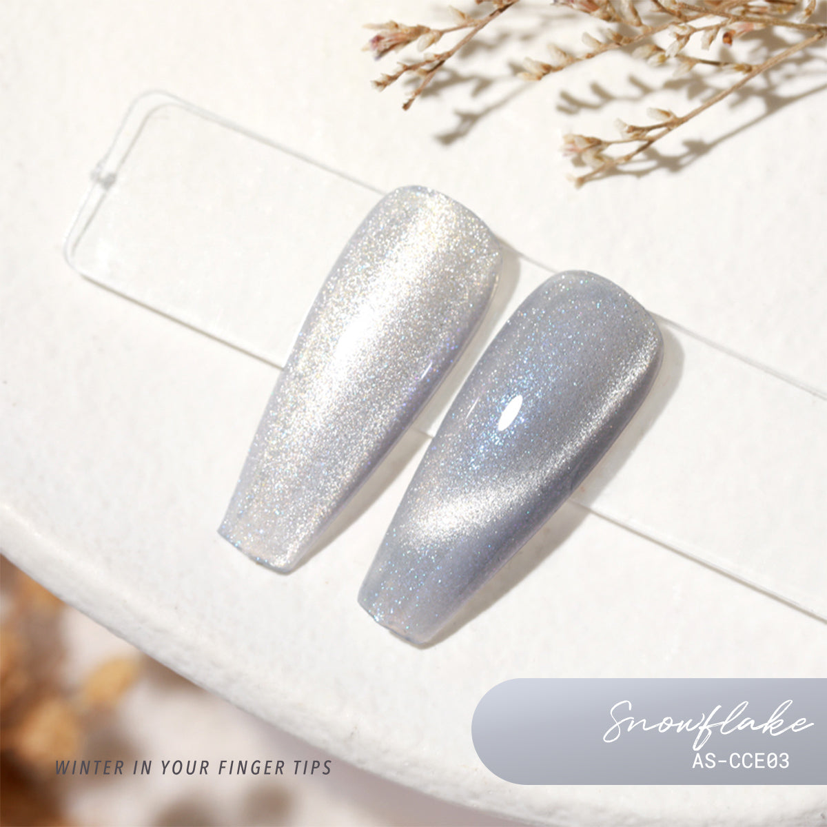 Anothersexy CCE03 SnowFlake Gel Polish