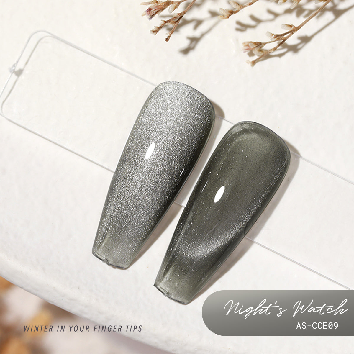 Anothersexy CCE09 Night's Watch Gel Polish