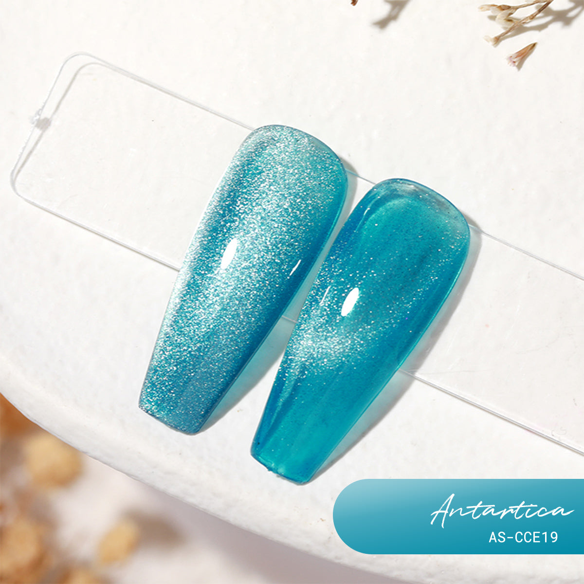 Anothersexy CCE19 Antartica Gel Polish