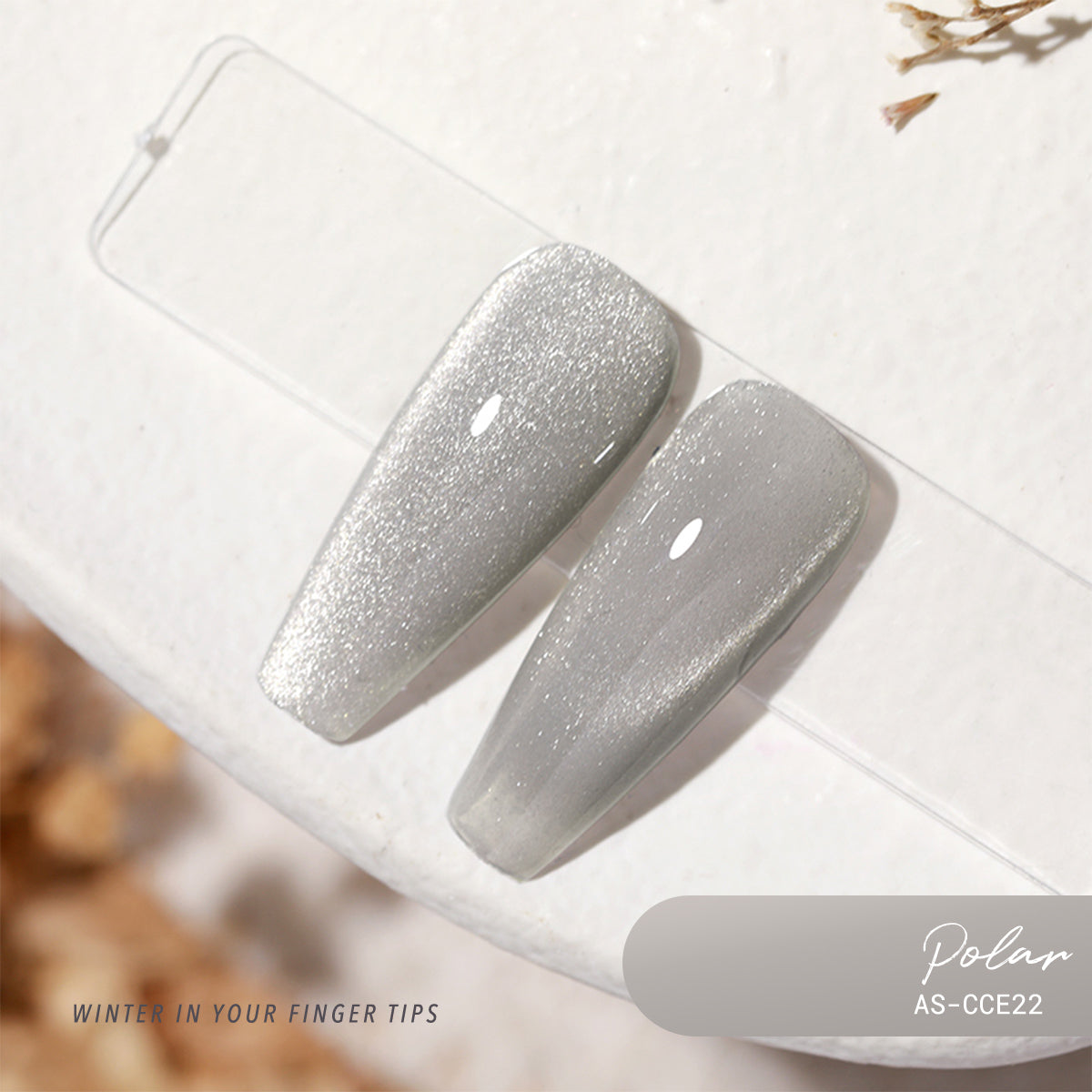 Anothersexy CCE22 Polar Gel Polish