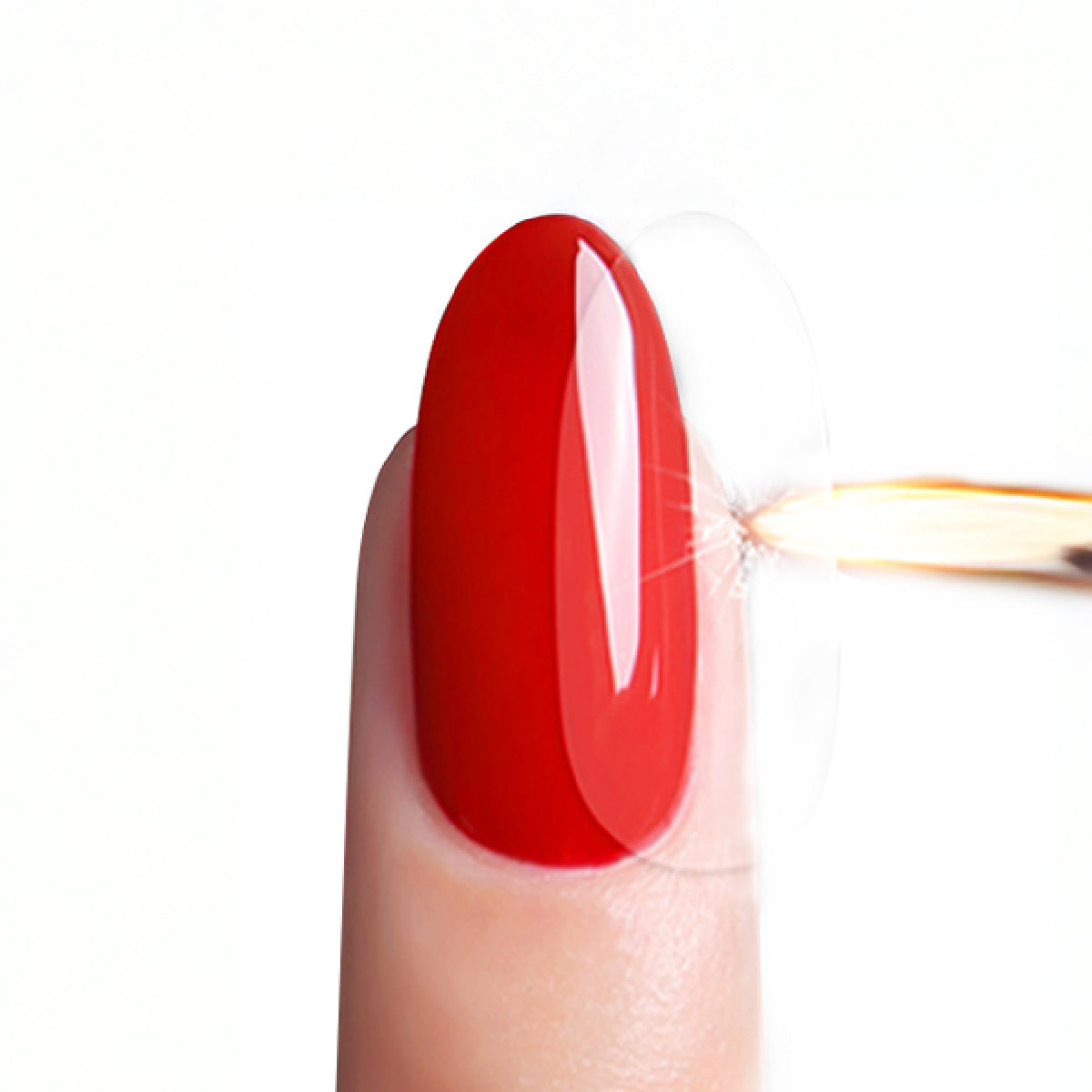 Tempering Top Coat / 15ml