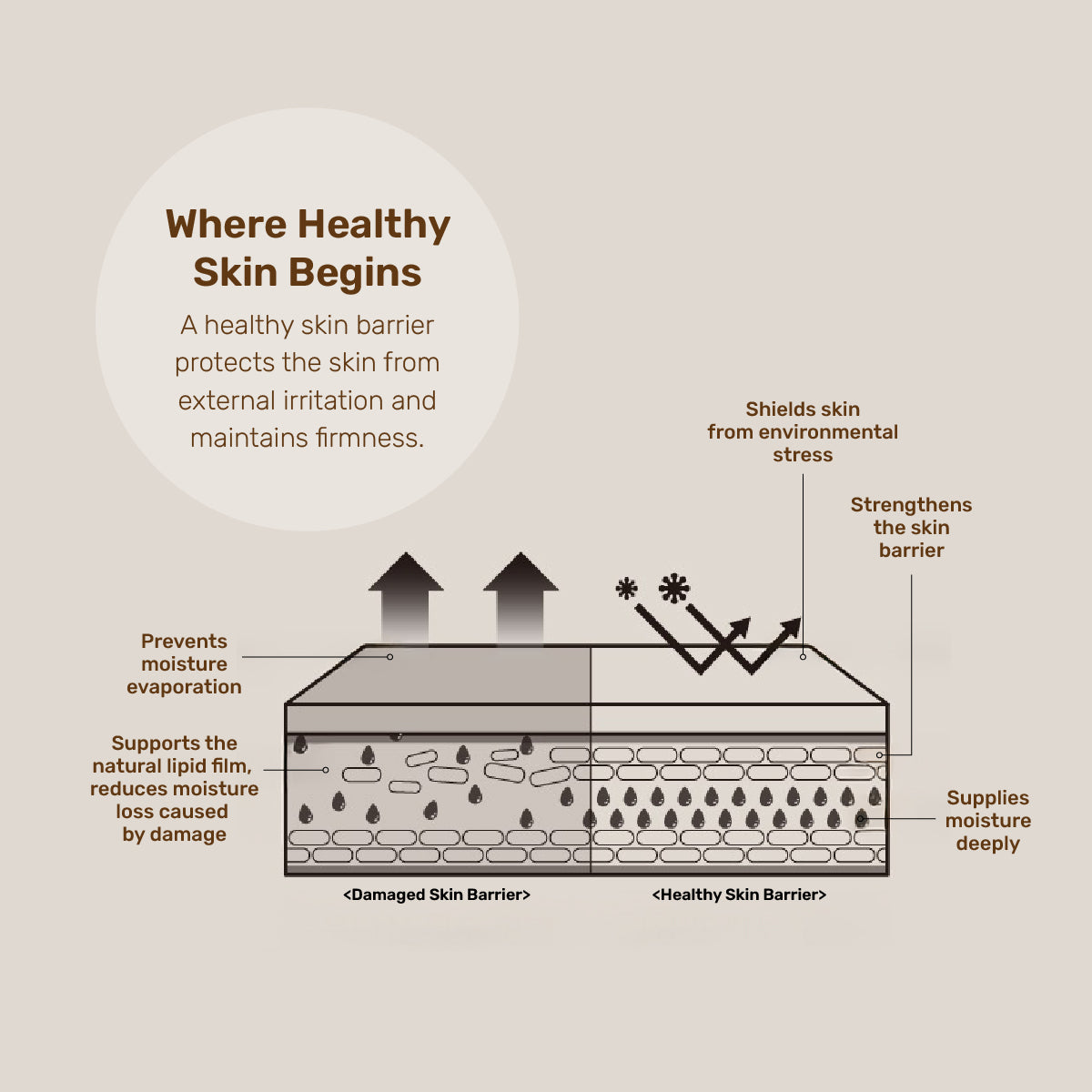 Bevlah Natural Botanical Oil