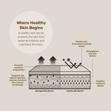 Bevlah Natural Botanical Oil