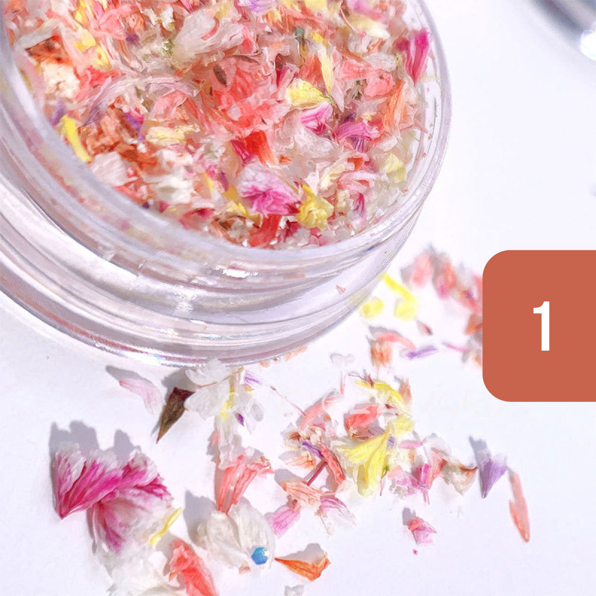 Pressed Dried Flowers Mix Nail Art Decorations