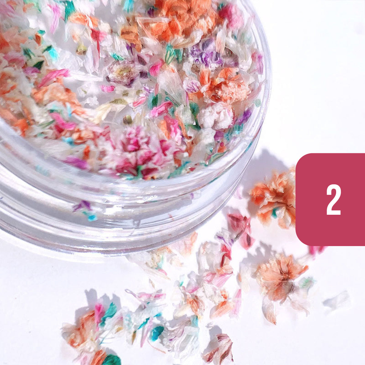 Pressed Dried Flowers Mix Nail Art Decorations