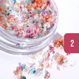 Pressed Dried Flowers Mix Nail Art Decorations