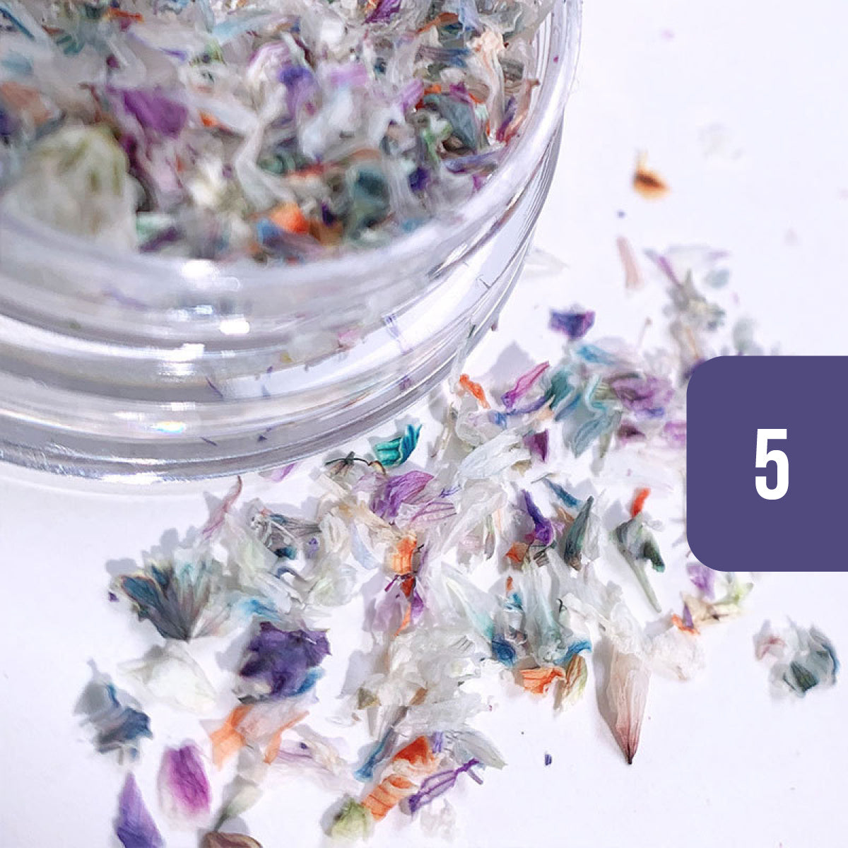 Pressed Dried Flowers Mix Nail Art Decorations