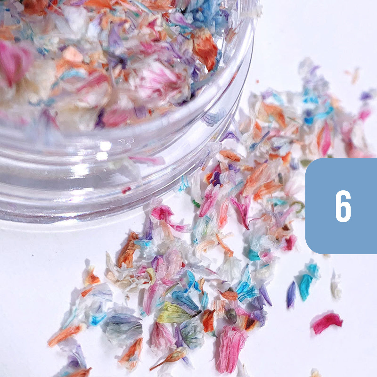 Pressed Dried Flowers Mix Nail Art Decorations