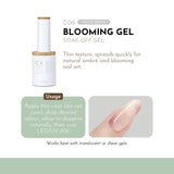 Moding Basic Functional Soak Off Gel Collection / 15ml