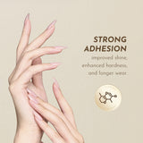 Moding Basic Functional Soak Off Gel Collection / 15ml