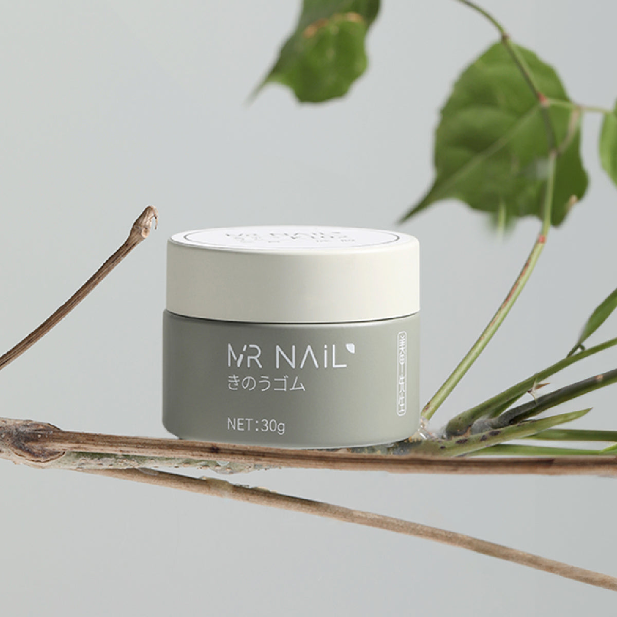 Mr Nail Function Gel/ Tub