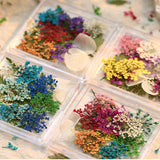 Pressed Dried Flowers & Leaves Mix Nail Art Decorations