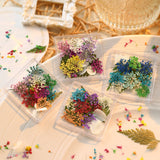 Pressed Dried Flowers & Leaves Mix Nail Art Decorations