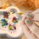 Pressed Dried Flowers & Leaves Mix Nail Art Decorations