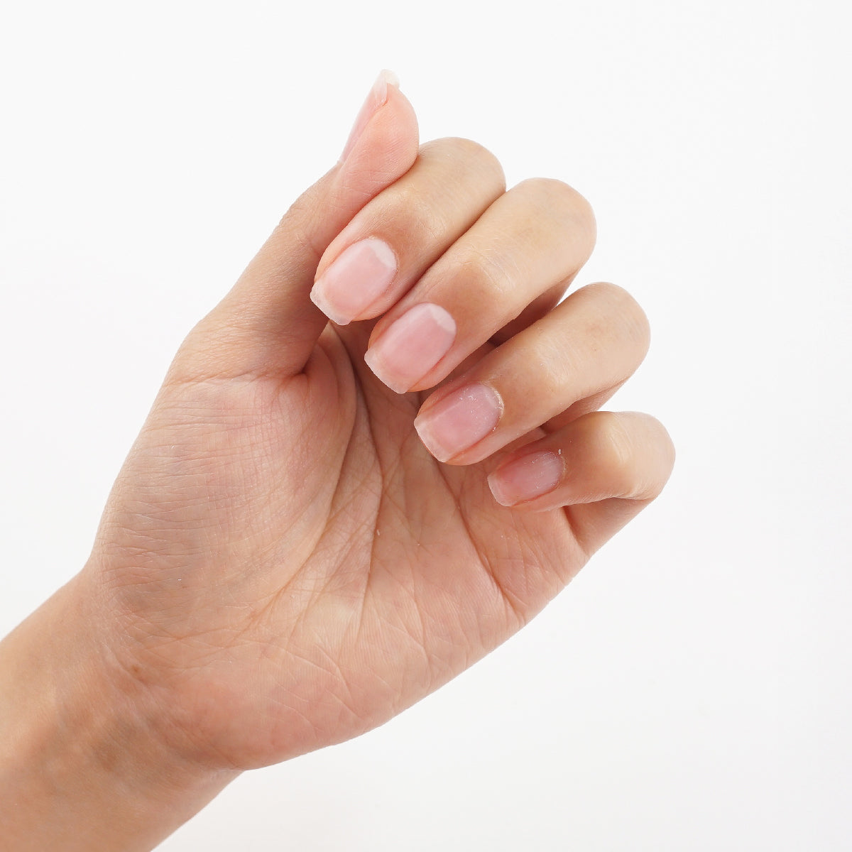 Professional cuticle nipper