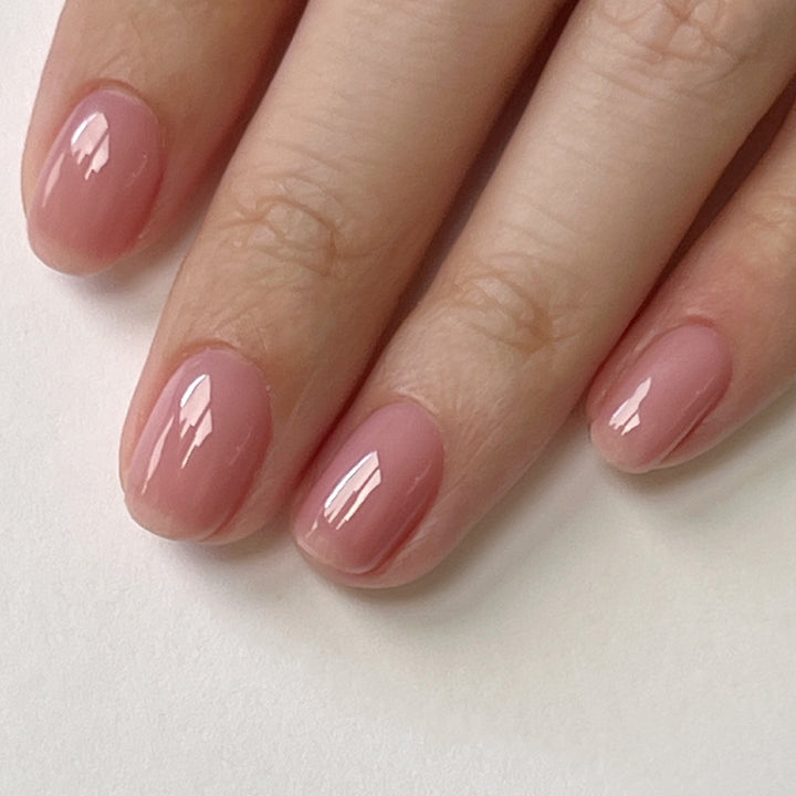 Rou Ni Classic Staples Collection – Vainpot Official