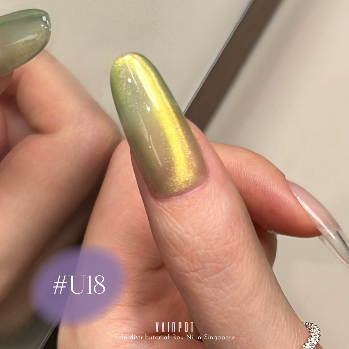 Rou Ni Unicorn Fantasy Magnetic Collection / 40 Colours