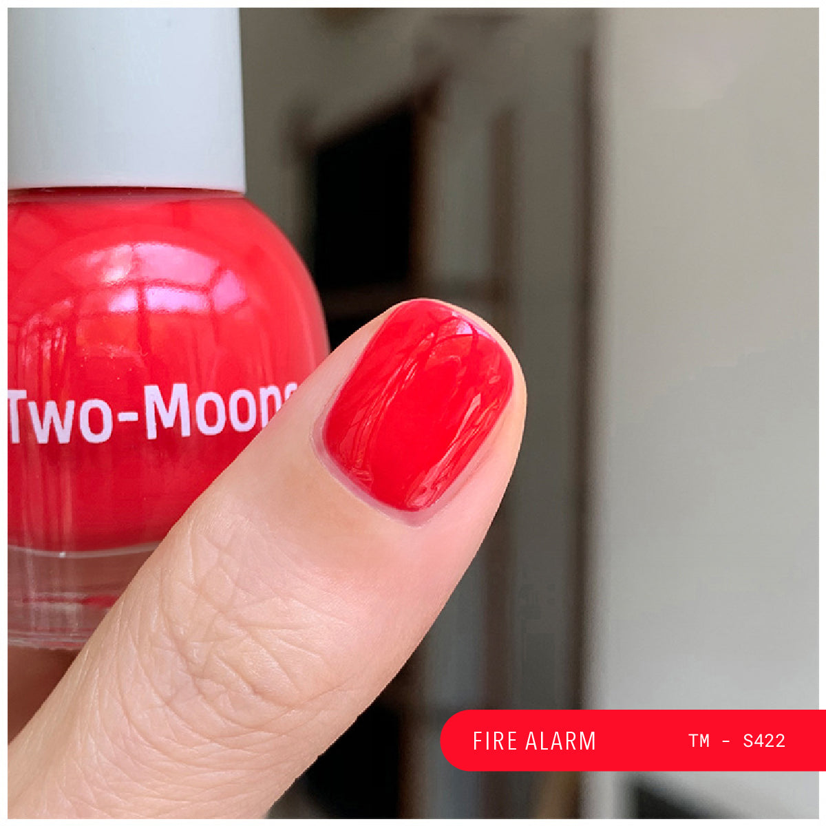 Water Based Nail Polish - Reds & Wines